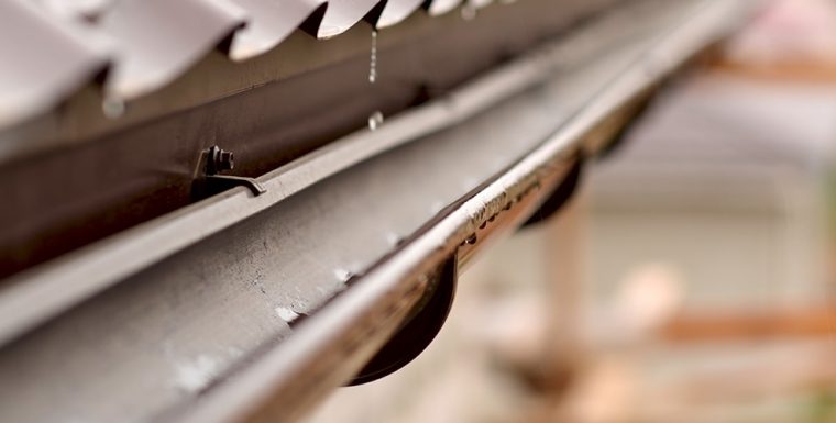 Which Gutter Guard & Leaf Guard to choose.