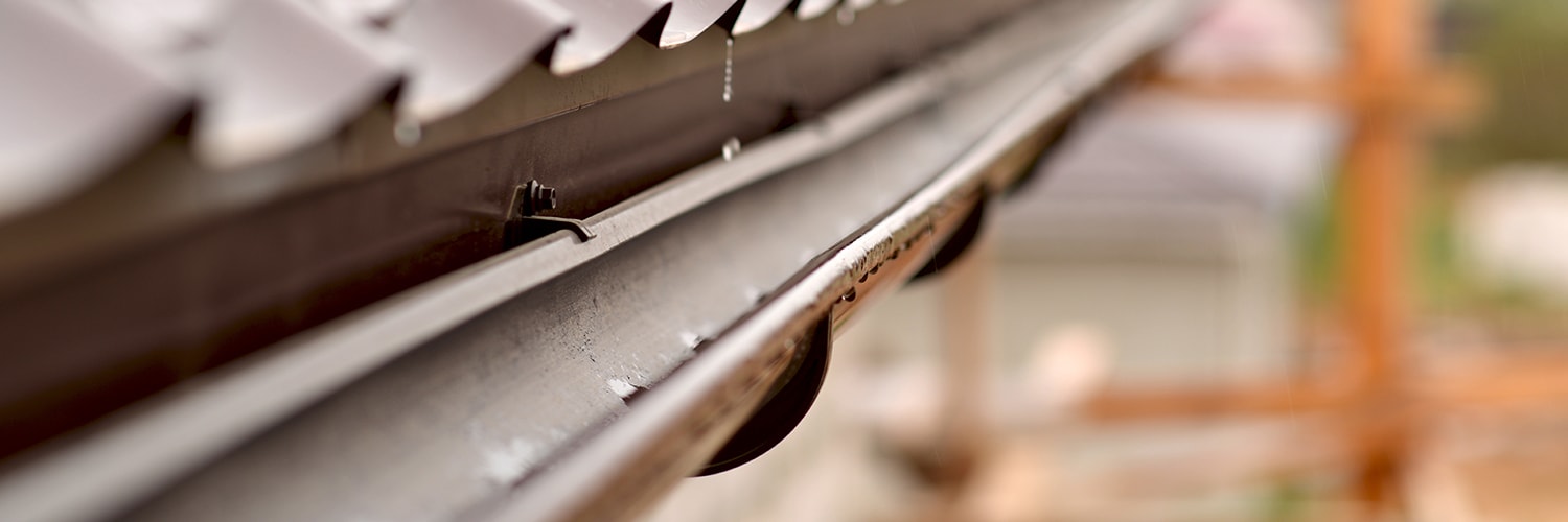 Which Gutter Guard & Leaf Guard to choose.