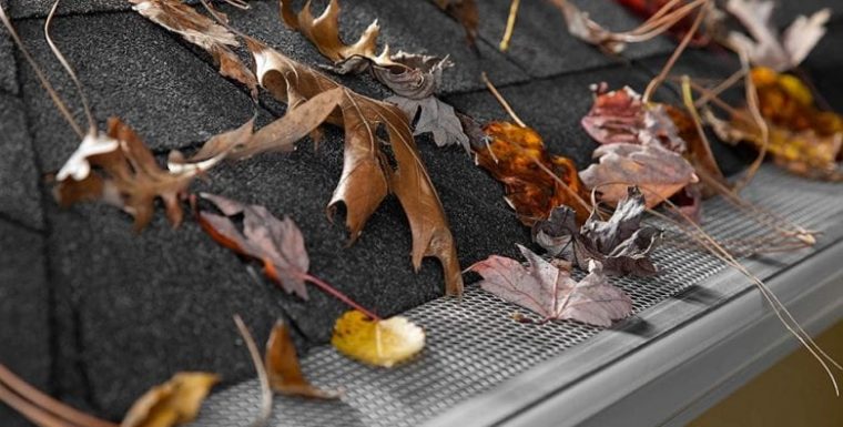 What Is The Best Gutter Guard & Leaf Guard For Best Use In Bushfire Areas