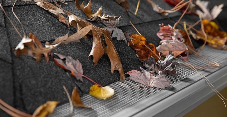 Leaf Guard